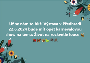 Screenshot 2024-05-25 at 09-44-50 Rychnovský krasavec-Biewer skupiny CZ Facebook