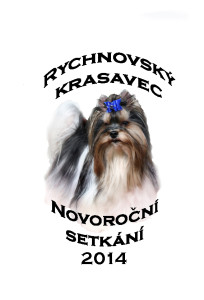 novoroční inzerce