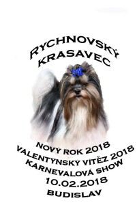 nový rok 2018