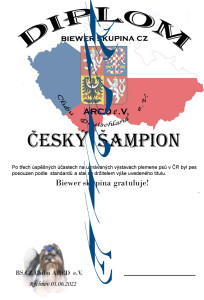diplom český Ch net